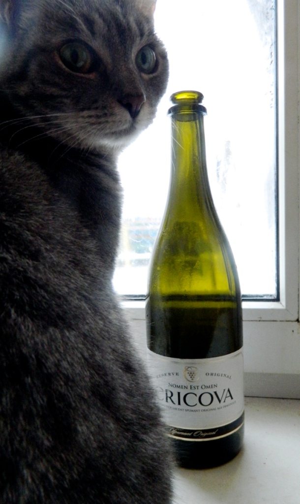 my cat Noodles and a bottle of Moldovan wine